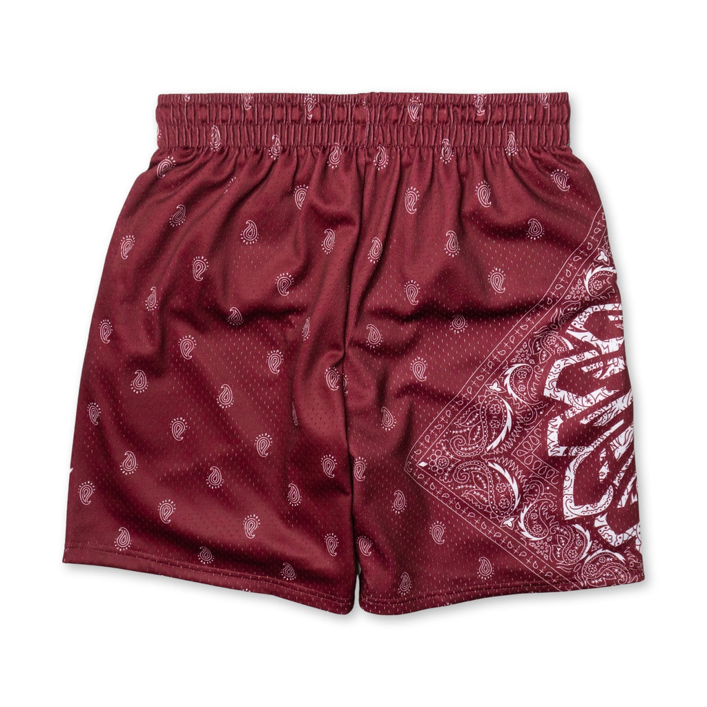 SAVS CHIEF PAISLEY TRIMLESS HOOP SHORTS - MAROON