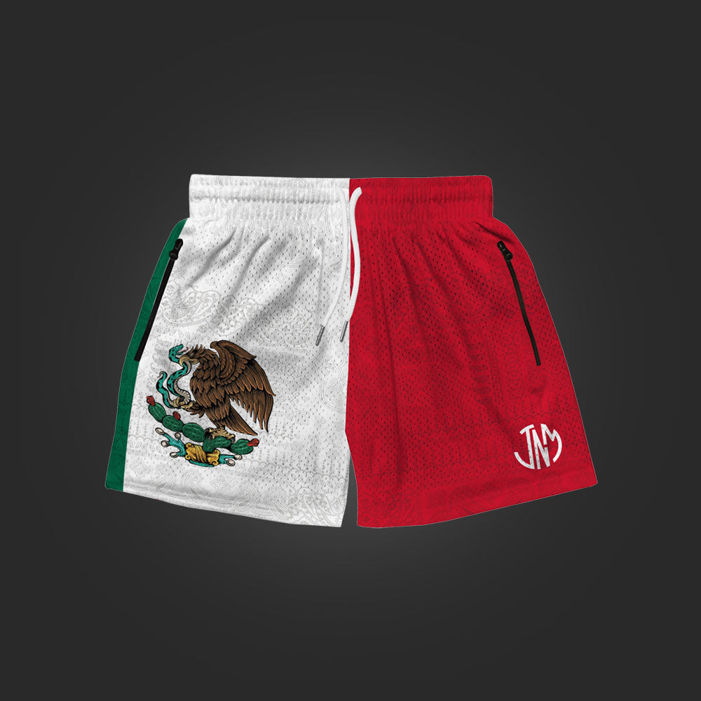 SAVS x JNM MEXICO GYM SHORTS