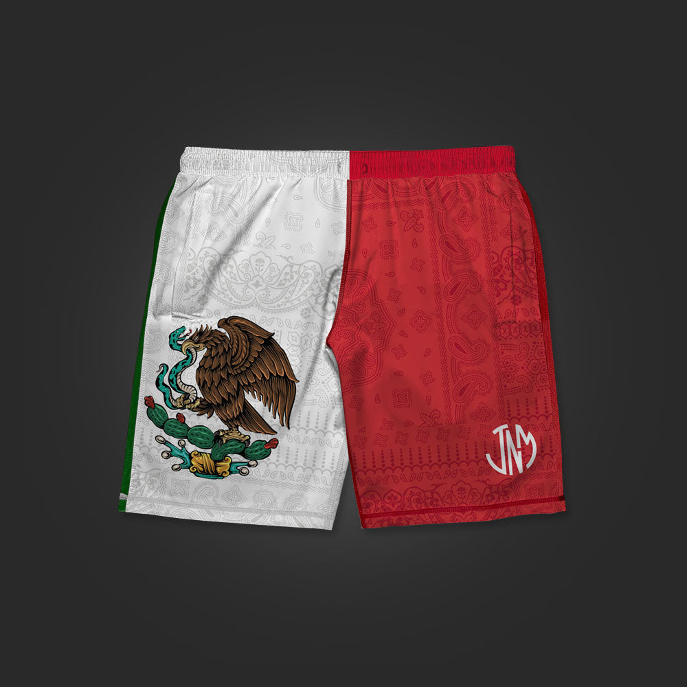 SAVS x JNM MEXICO HYBRID SHORTS