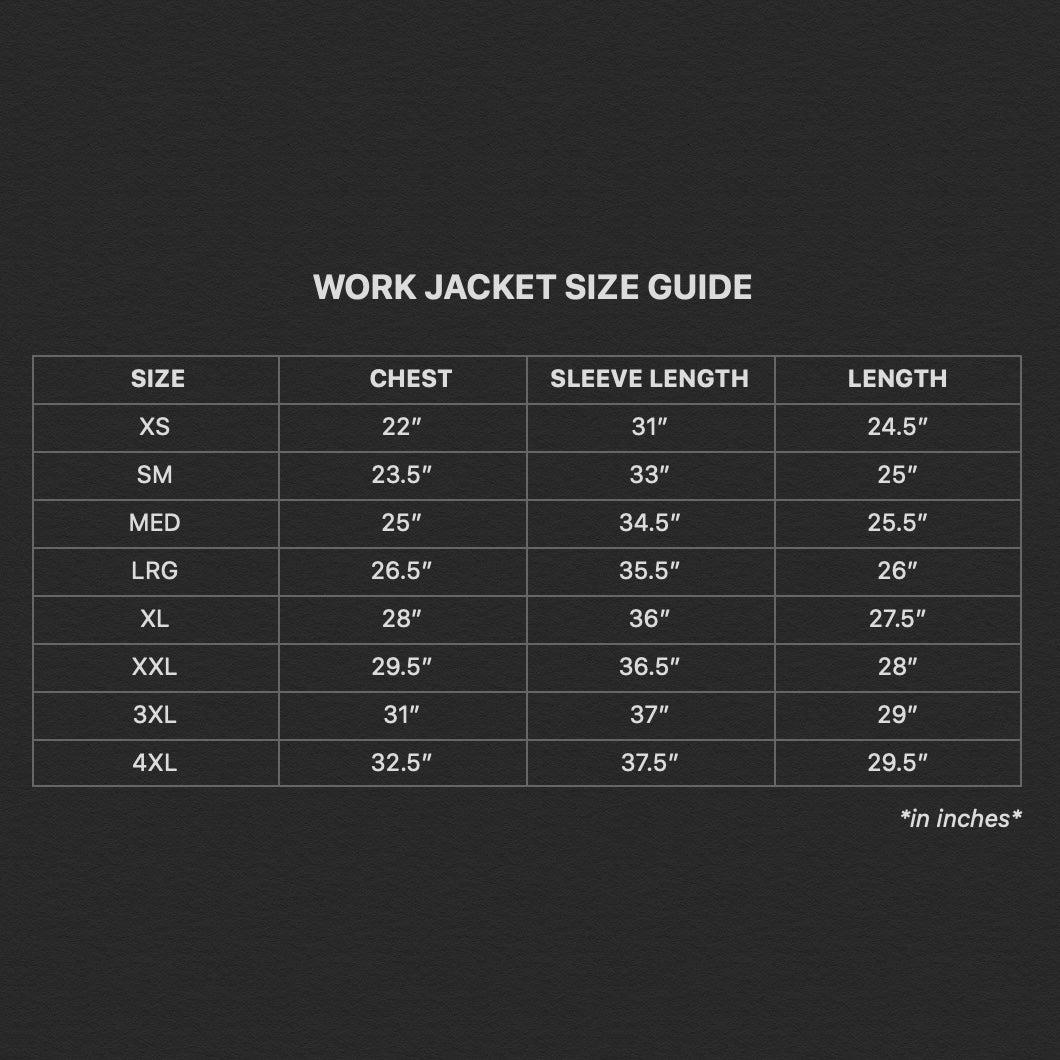 SAVS PAISLEY REVERSIBLE WORK JACKET