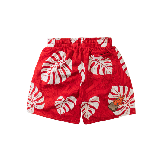 "LILO" MEN'S TRIMLESS HOOP SHORTS