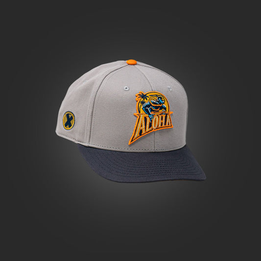 SAVS x Project X 6 PANEL "ALOHA GS" SNAPBACK - STEEL